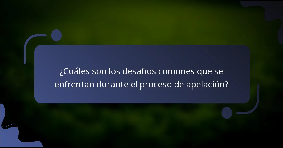 ¿Cuáles son los desafíos comunes que se enfrentan durante el proceso de apelación?